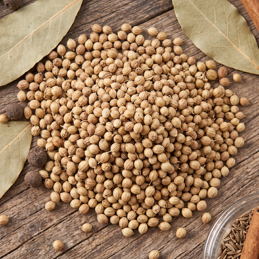 coriander coriander