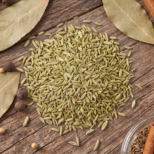 fennel fennel
