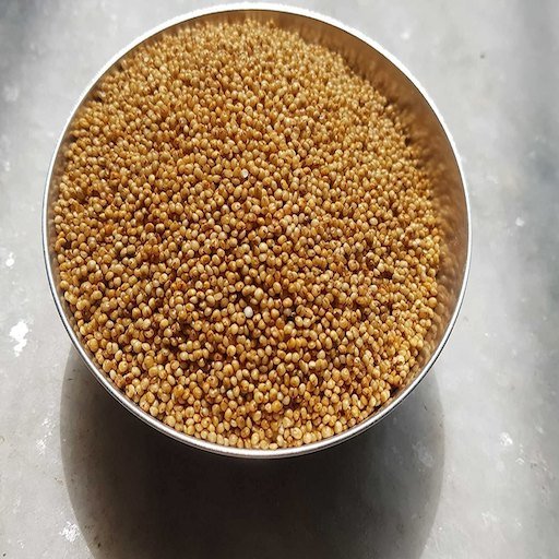 brown top millet brown top millet