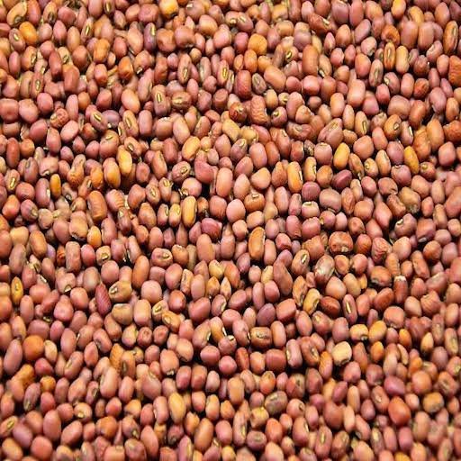 cowpea red cowpea red