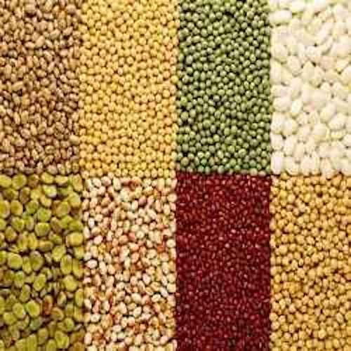 organic pulses org 8415635318280001
