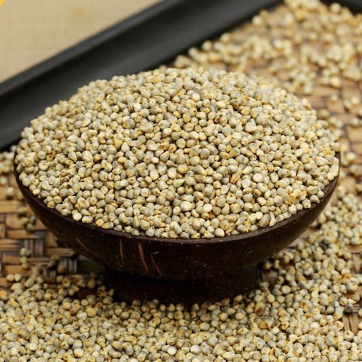 pearl millet pearl millet
