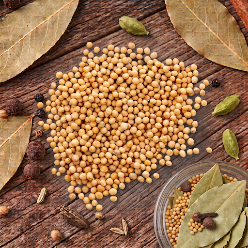 yellow mustard seed yellow mustard seed